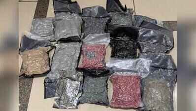 One held at Ahmedabad airport with 8.9kg of hydroponic weed