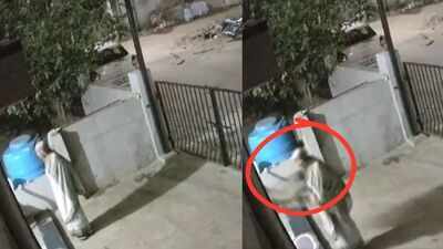 91-year-old woman dies after monkey attacks, pushes her in Karnataka