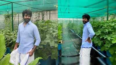 Actor Sivakarthikeyan’s private organic greenhouse: How the actor grows seasonal vegetables and leafy greens at home
