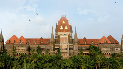 Bombay HC asks govt for measures to tackle firecrackers, lasers noise pollution; to pass order at 4 pm