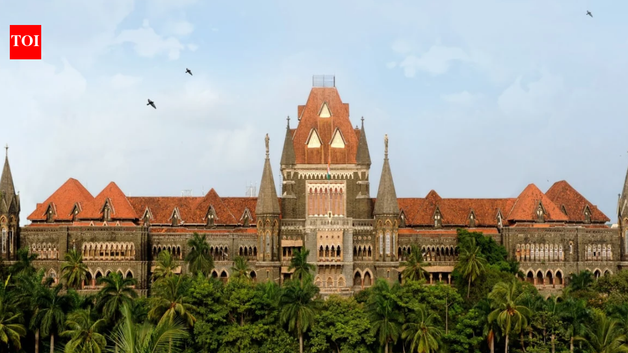 Bombay High Court Intervenes to Curb Hazardous Noise Pollution From Fireworks and Lasers