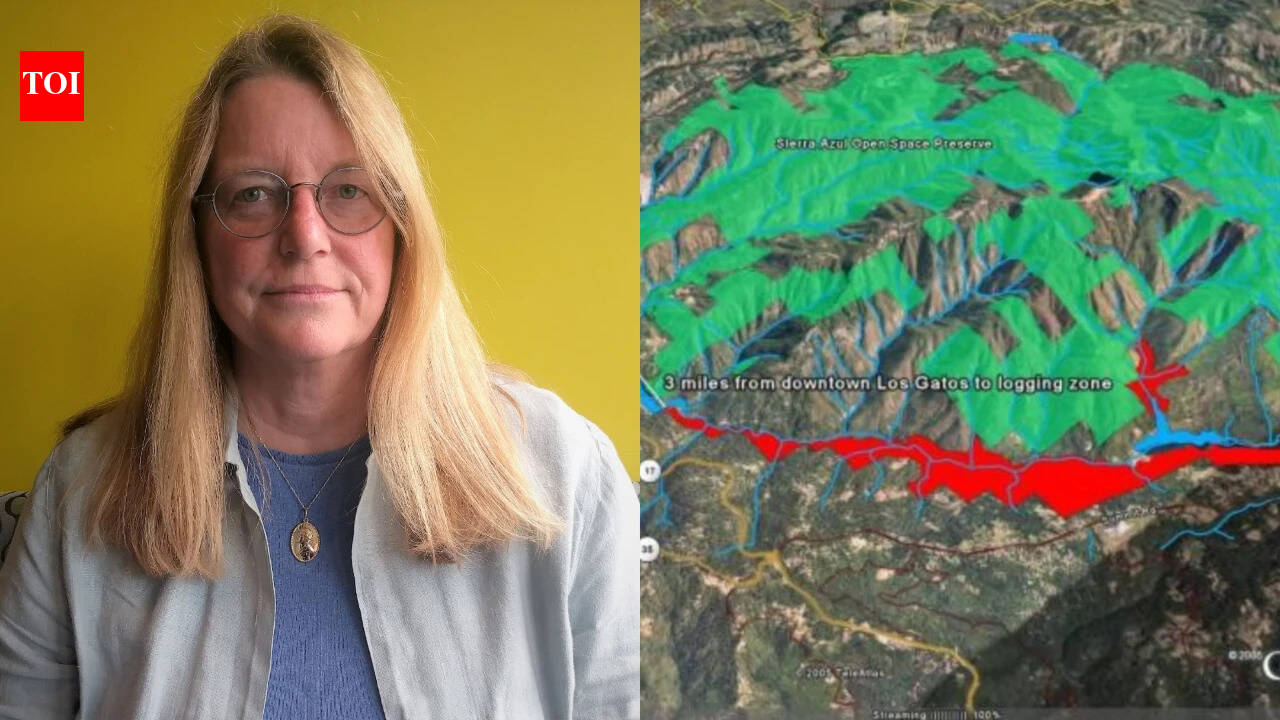 In 2005, a California engineer used Google Earth to challenge a logging plan above Los Gatos Creek; community pressure later helped spare 1,000 acres of redwood watershed