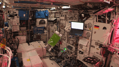 Scientists grew algae on the ISS for 40 generations; spaceflight produced about 50% more DNA changes than on Earth