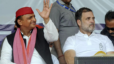 'Look what happened in Bengal': Congress hits back after SP's 'only Akhilesh' pitch