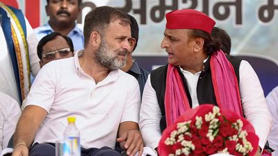 'Look what happened in Bengal': Congress hits back after SP's 'only Akhilesh' pitch
