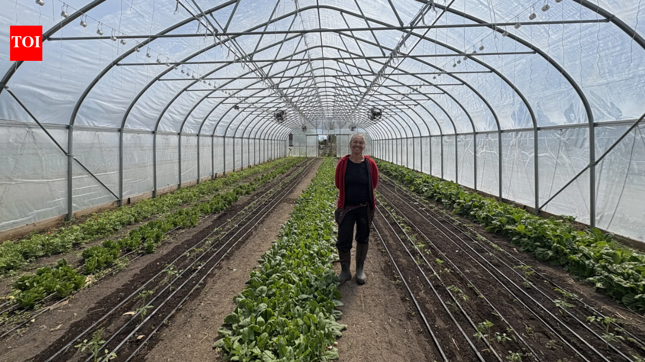 In 2010, a financially ruined couple started farming on leased land; after hitting $100,000...
