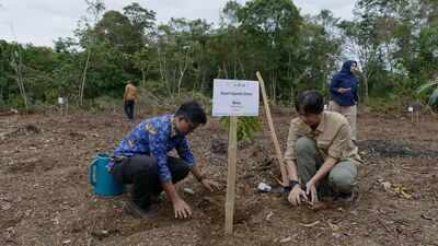 Indonesia began restoring 159 hectares damaged by floods and landslides to rebuild habitat around the last remaining Tapanuli orangutan ecosystem