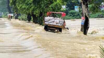 MP tragedy prompts govt to intensify vigil at low bridges, culverts