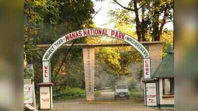 All starts with ‘Mainao‘; once lost to poaching, rhinos breeding again in Manas
