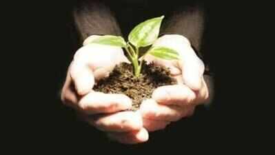 Chinmaya Vidyalaya to plant 75,000 trees to mark 75th anniversary of Chinmaya Mission
