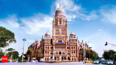 BMC seeks agency to diversify funding, explore alternative finance for infrastructure projects
