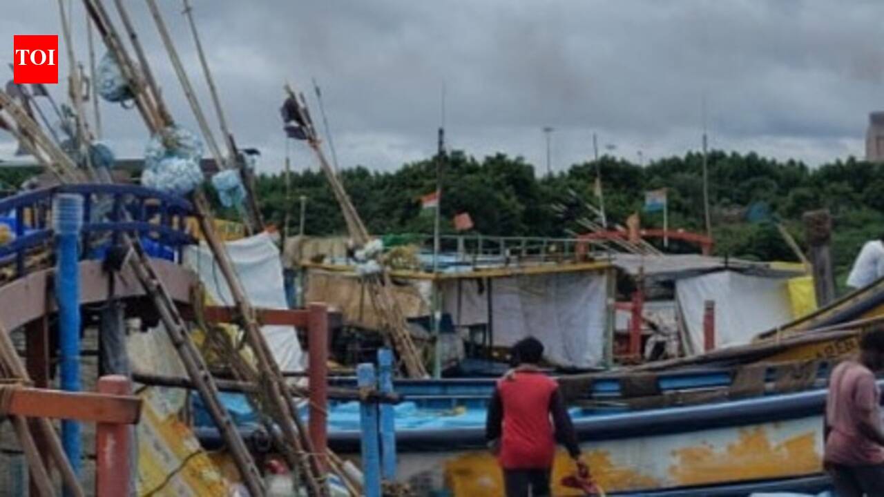 Andhra fishermen take shelter at Gopalpur amid rough sea conditions
