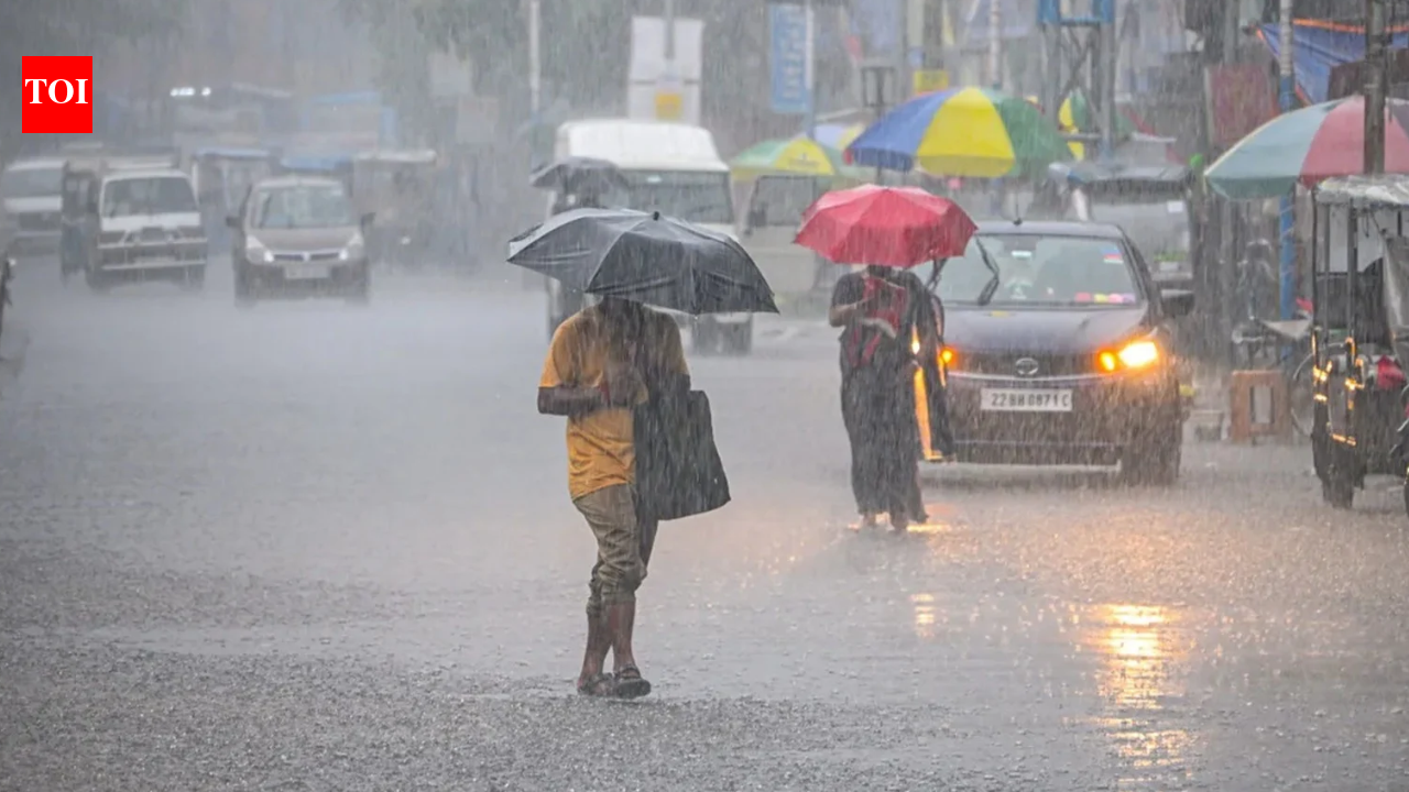 Deep depression nears Andhra-Odisha coast; schools, tourist spots shut, 11 Odisha districts on high alert