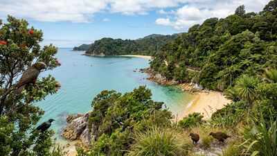 New Zealand spent 14 years removing pests and weeds from Abel Tasman; the national park now has flourishing native wildlife and restored forest