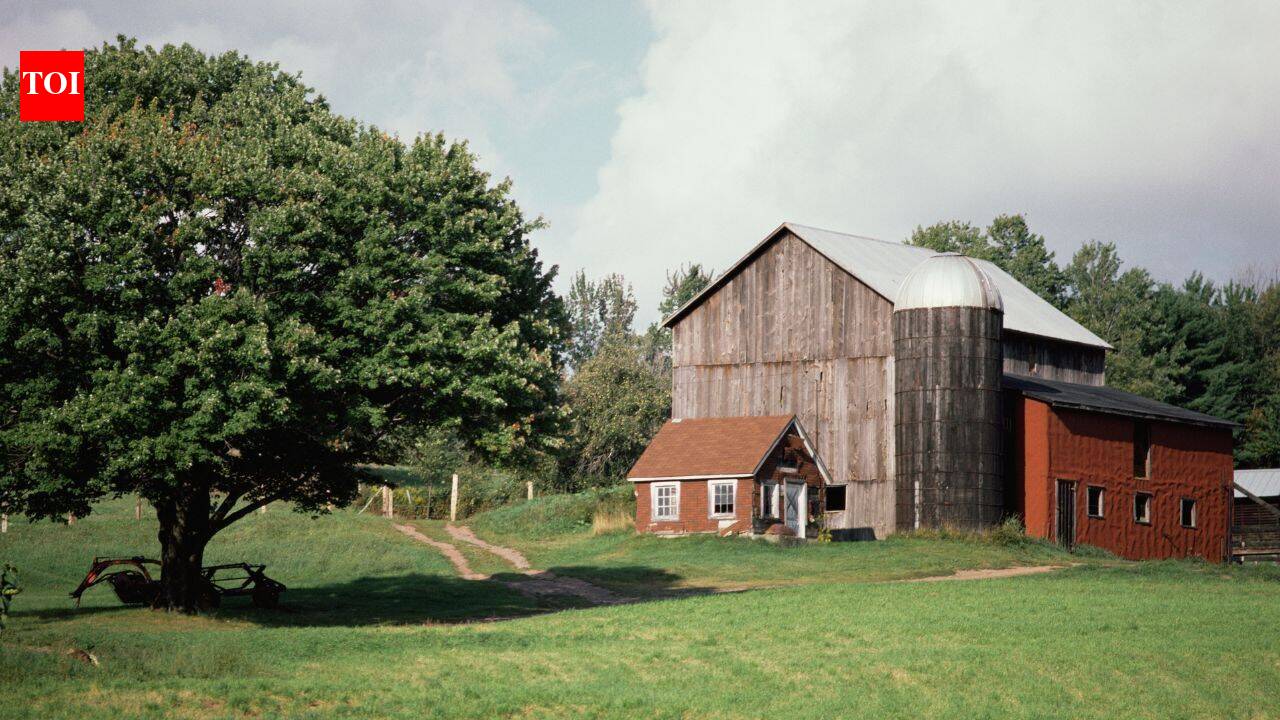A Maryland family let their worn-out farm heal in 1954; 72 years later, it’s protected forever