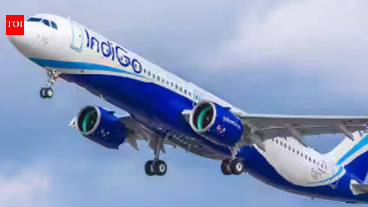 IndiGo Dreamliner returns to London after technical issue on Delhi ...
