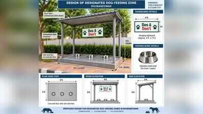 Designated stray dog feeding points to come up in city