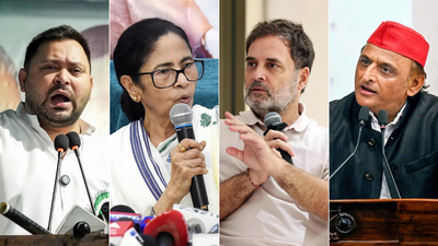 'Bihar, Maharashtra, Delhi, Haryana & West Bengal': Oppn seeks fresh polls after EC 'dissent' report