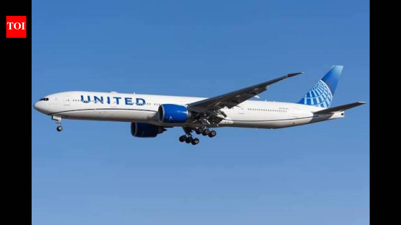 Woman says she was forced to sit next to man who was masturbating, was later given $100 flight credit; United Airlines launches probe