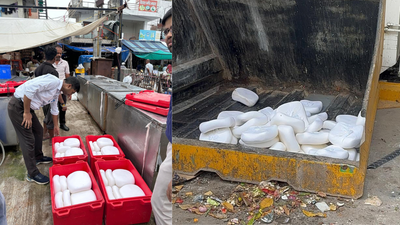 Delhi festive season crackdown: Over 4,100kg adulterated khoya, chhena, paneer destroyed