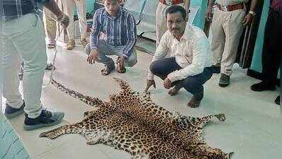 Leopard skin seizure: Another man arrested in Nuapada