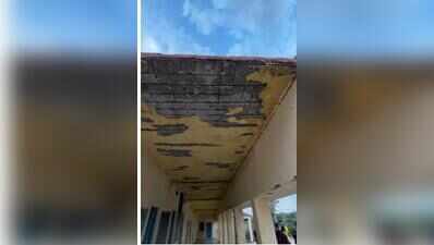 Udaipur schools told to boost facilities, ensure hygiene after CJP inspection