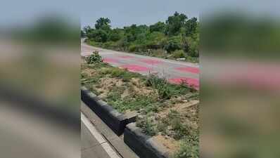 Unidentified woman’s decomposed body found in Hazaribag forest