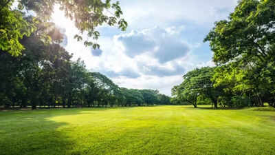 Kalkaji gang-rape fallout: DDA orders safety audit of all Delhi parks, restricts access after sunset