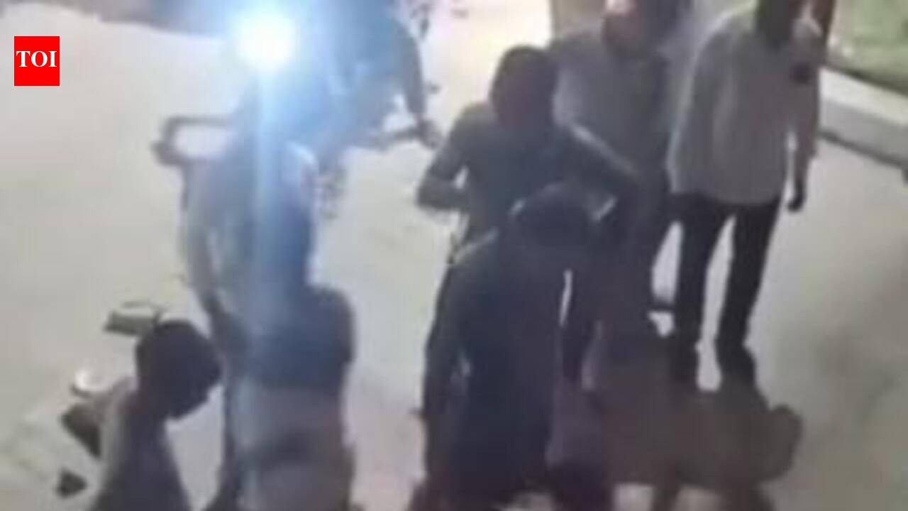 FIR against youth for beating dog to death in Etawah