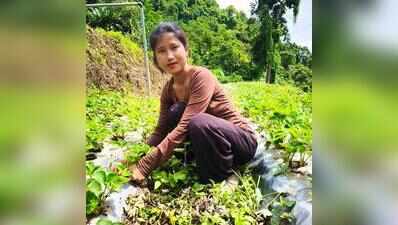 From strawberry fields to global honour: Mizoram grower named among FAO’s ‘100 women heroes’