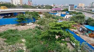 BMC dragging feet on Bandra plot reserved for funeral grounds: PIL in Bombay High Court