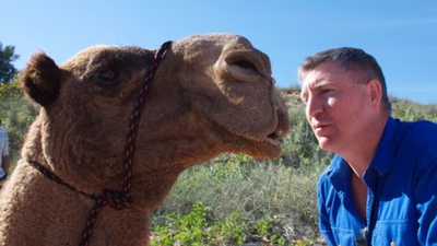In 1998, David Mason walked 5,500 km across Australia with three camels; 236 days later, he reached the coast and won Adventurer of the Year