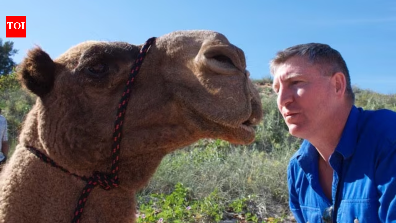 In 1998 David Mason walked 5,500km across Australia with camels in 236 days