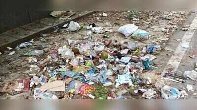 Sanitation strike over, but garbage still piles up across Noida sectors