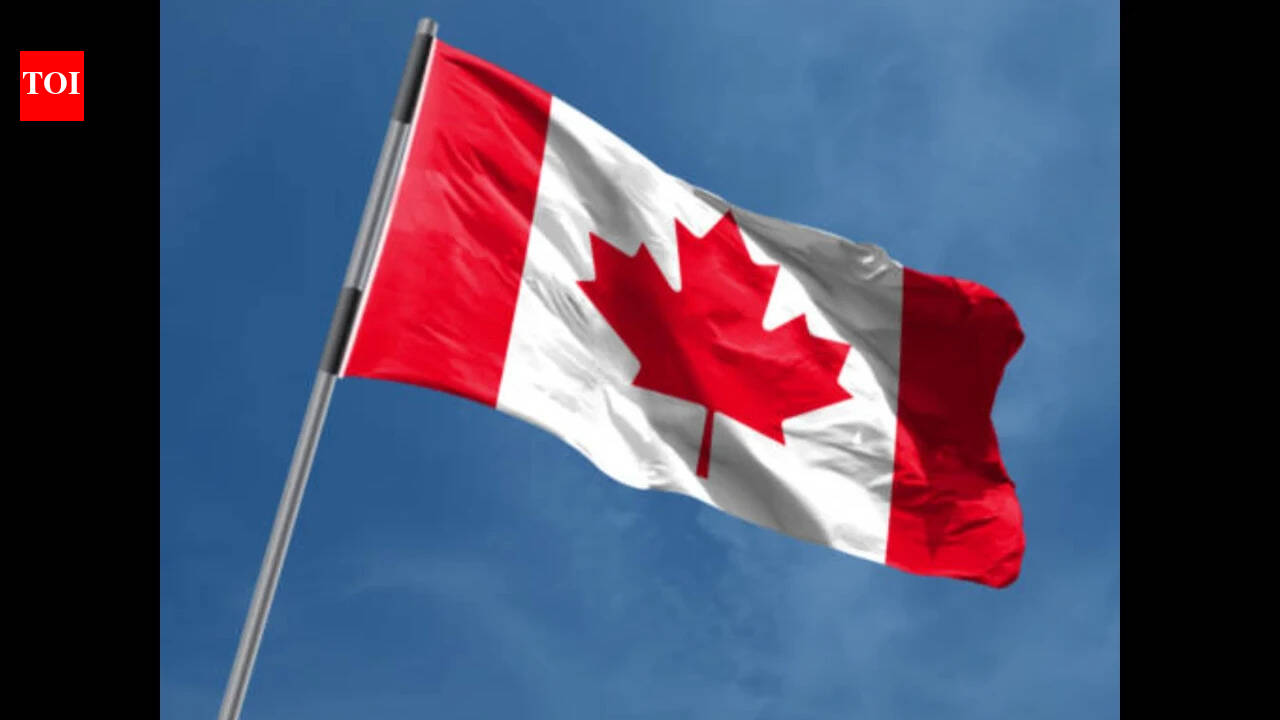Indian-origin man in Canada, a permanent resident, jailed for sexually assaulting 15-year-old loses bid to avoid deportation