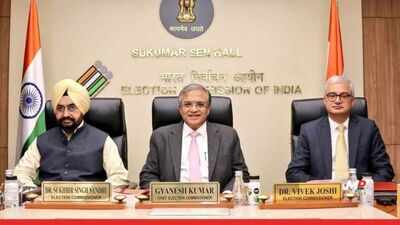 SIR queries raised, but pertained to draft stage; focusing on some notes while ignoring others gives only one part of picture: EC