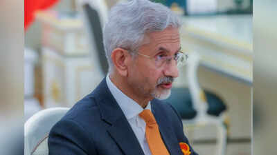 'In front row of crises, back row of policy making': Jaishankar pushes for stronger Global South