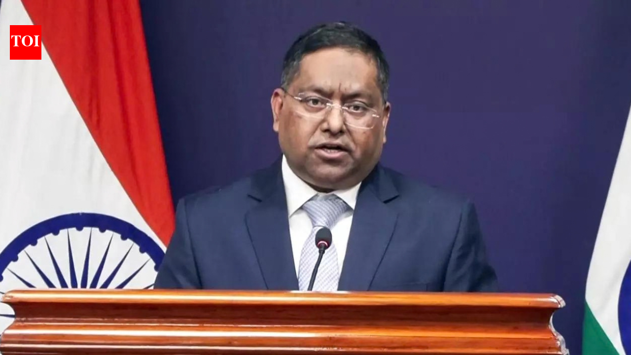 Govt rejects OIC's J&amp;K references as 'factually incorrect'