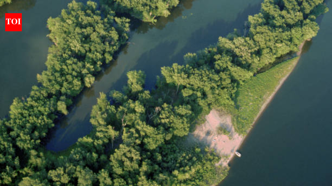 Engineers used 500,000 cubic yards of Mississippi River sand to build 7 islands and restore 270 acres
