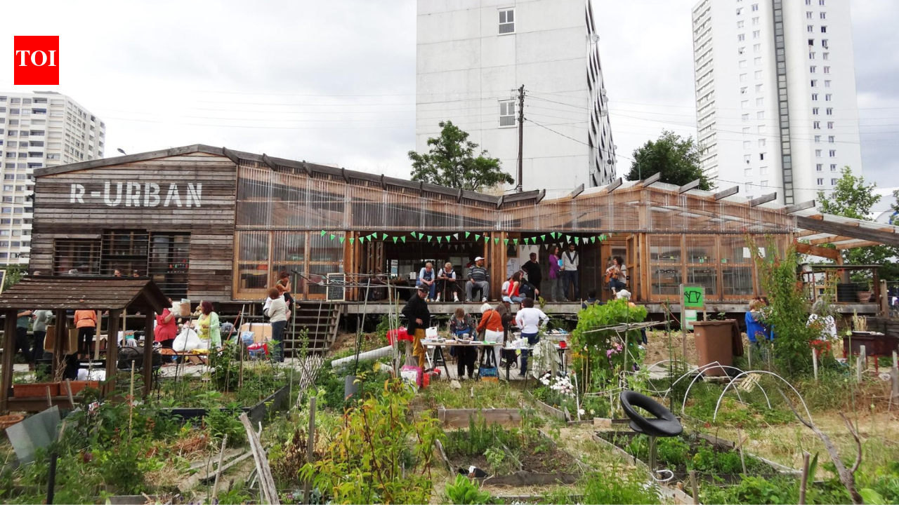 London residents turn food scraps into sauna fuel as community sauna is tested