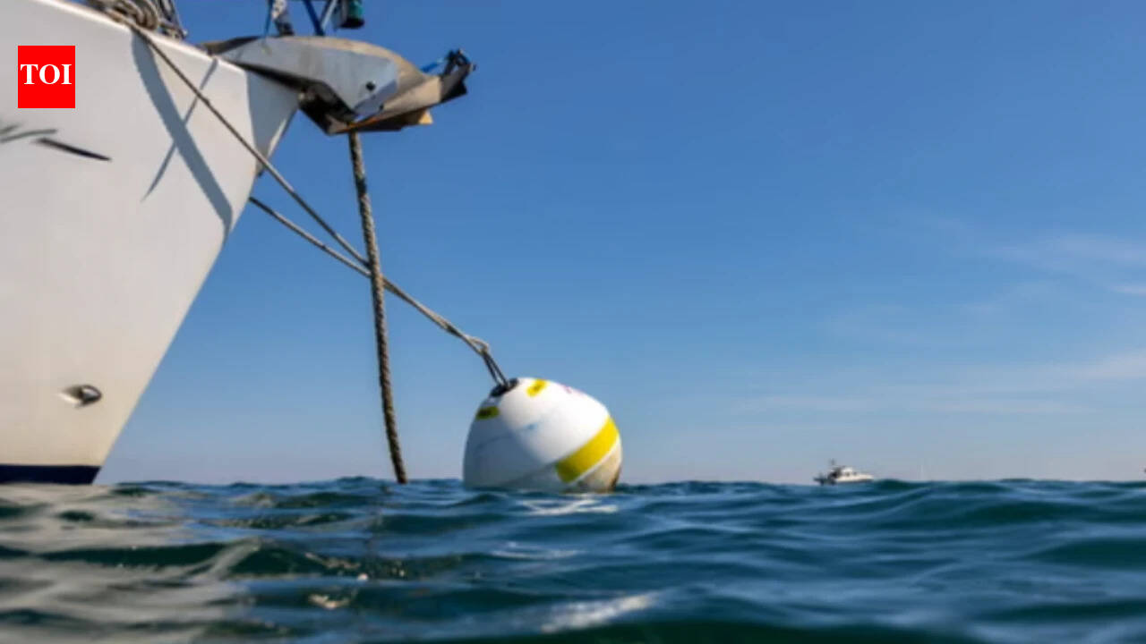 At Studland Bay, replacing damaging boat anchors with eco-moorings cut scars in seagrass by 94%