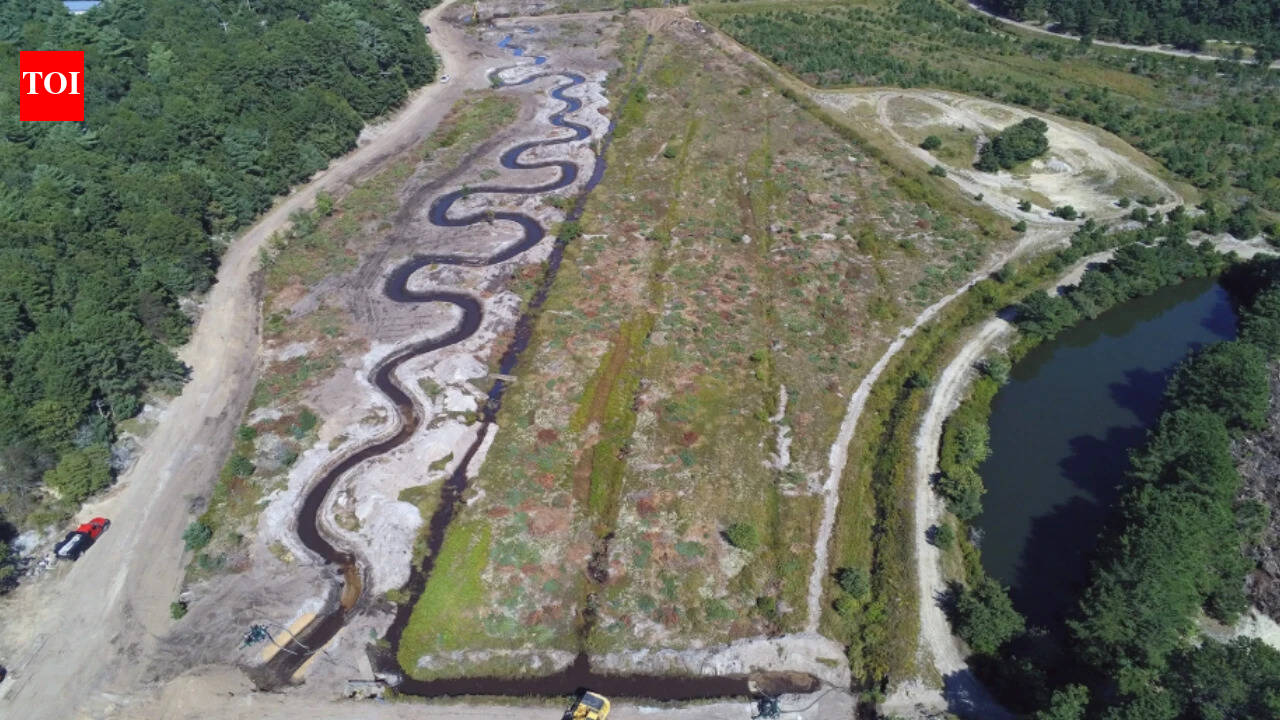 Massachusetts restores cranberry bog to protect rare trout that moves between river and ocean