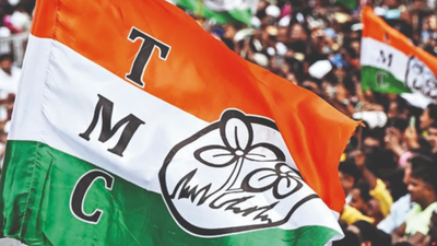 'We know what delay did in Shiv Sena': On TMC symbol row, SC asks EC to set time limit for final decision