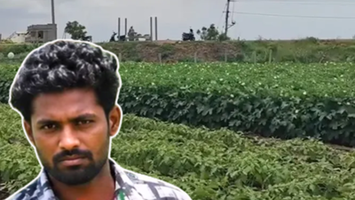 In 2017, this man got a bank job; 8 years later, he returned to his family in Andhra Pradesh after his father's death and started farming again; he now earns Rs 5,000 daily from vegetables