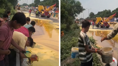 Heard of the mythological rivers of milk and ghee? UP's Moradabad witnessed a similar scene as locals rushed with buckets to collect ghee after tanker overturns: Watch video to know what happened