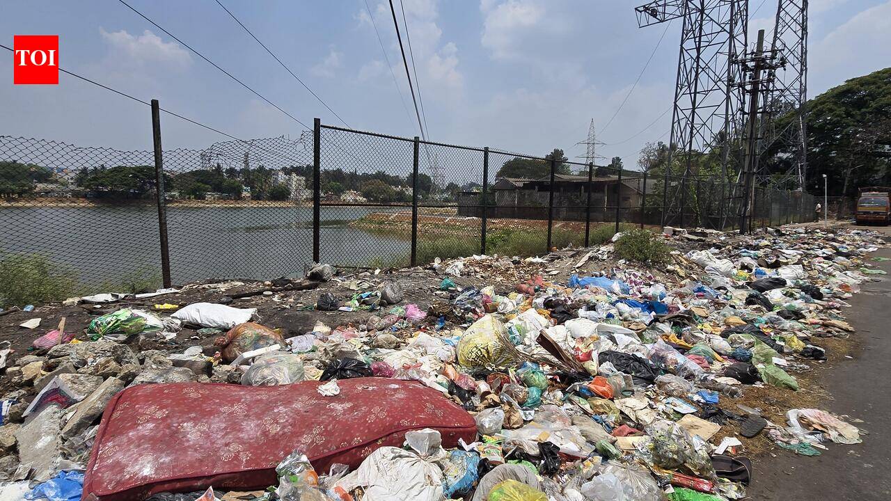 Bengaluru may get ‘waste wardens’ to boost segregation, garbage monitoring