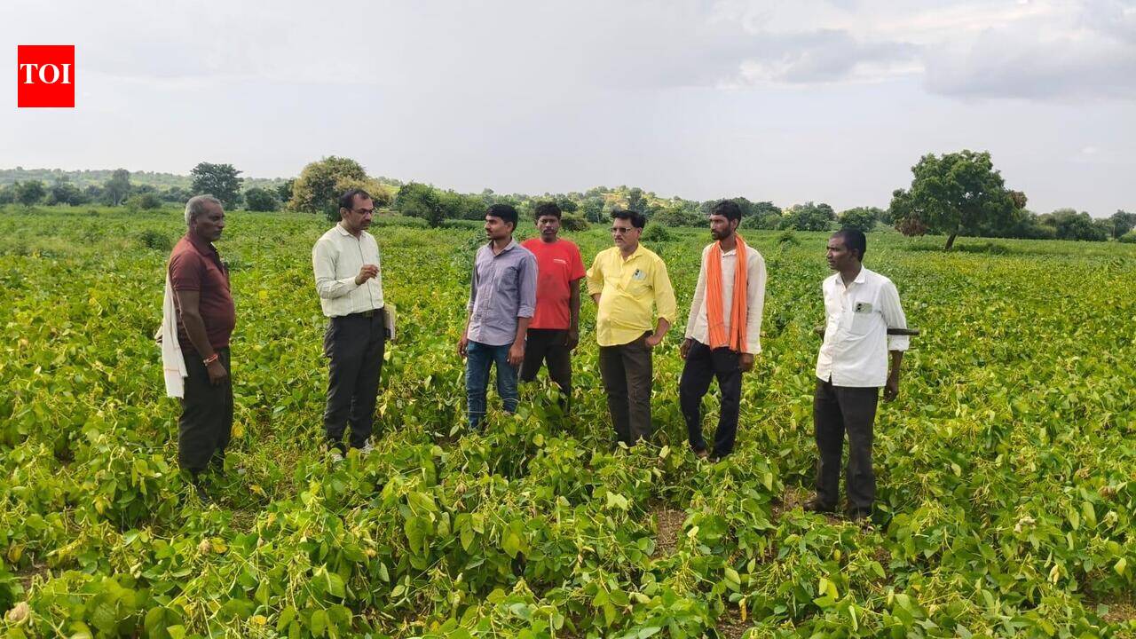 Agri university’s interventions boost crop yields by up to 48% in 3 Parbhani villages