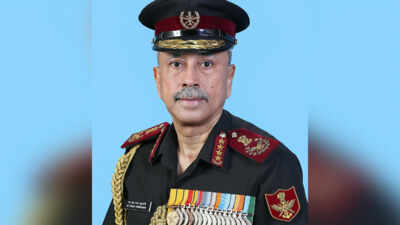 Citing example of UPI, CDS Subramani calls for building robust networks for military