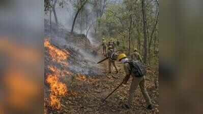 NGT directs Raj forest dept to step up measures to prevent, control fires