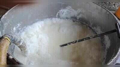 500kg paneer destroyed during surprise dairy inspection in Palwal